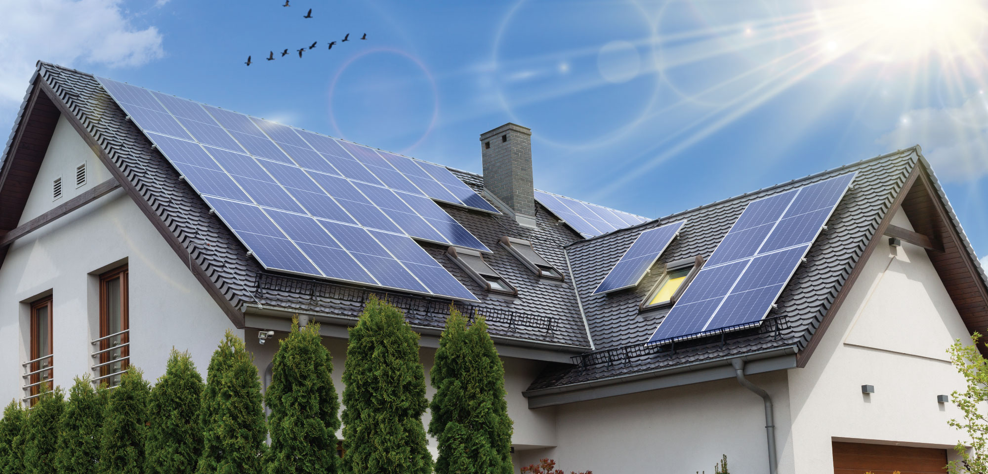 How Much Money Do Solar Panels Save in 2025?